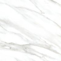 Πλακάκι POLO CARRARA Mat Satine KARAG 60x60cm