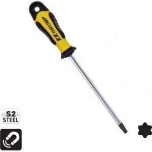 FF GROUP Κατσαβίδι TORX PROGRIP T25X100mm 32893