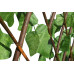 GREENTOOLS Φυλλωσιά πέργκολα σκούρο πράσινο 1X2m