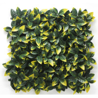 Φυλλωσιά photinia 50X50cm GΑ017