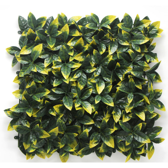 Φυλλωσιά photinia 50X50cm GΑ017