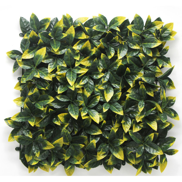 Φυλλωσιά photinia 50X50cm GΑ017
