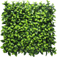 Φυλλωσιά gardenia 50X50cm GΑ138