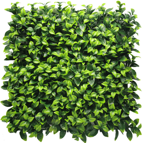 Φυλλωσιά gardenia 50X50cm GΑ138