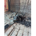 Ηλεκτρικός Αναπτήρας για Κάρβουνα BBQ Kratki 