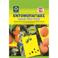Quality Εντομοπαγίδες Σετ 10 τμχ 24x17cm 